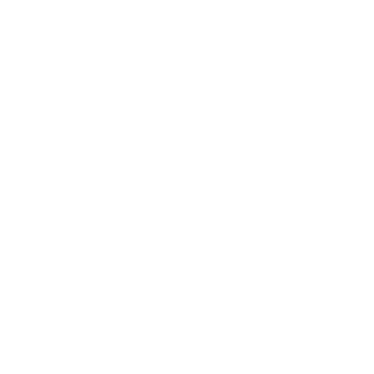 logo-jedi-air-force-1
